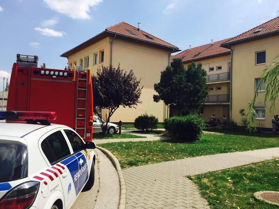 Fehérvár Médiacentrum fotója