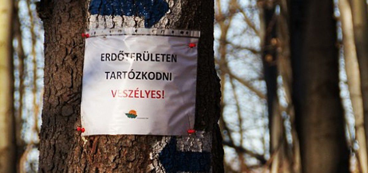 Fehérvár Médiacentrum fotója
