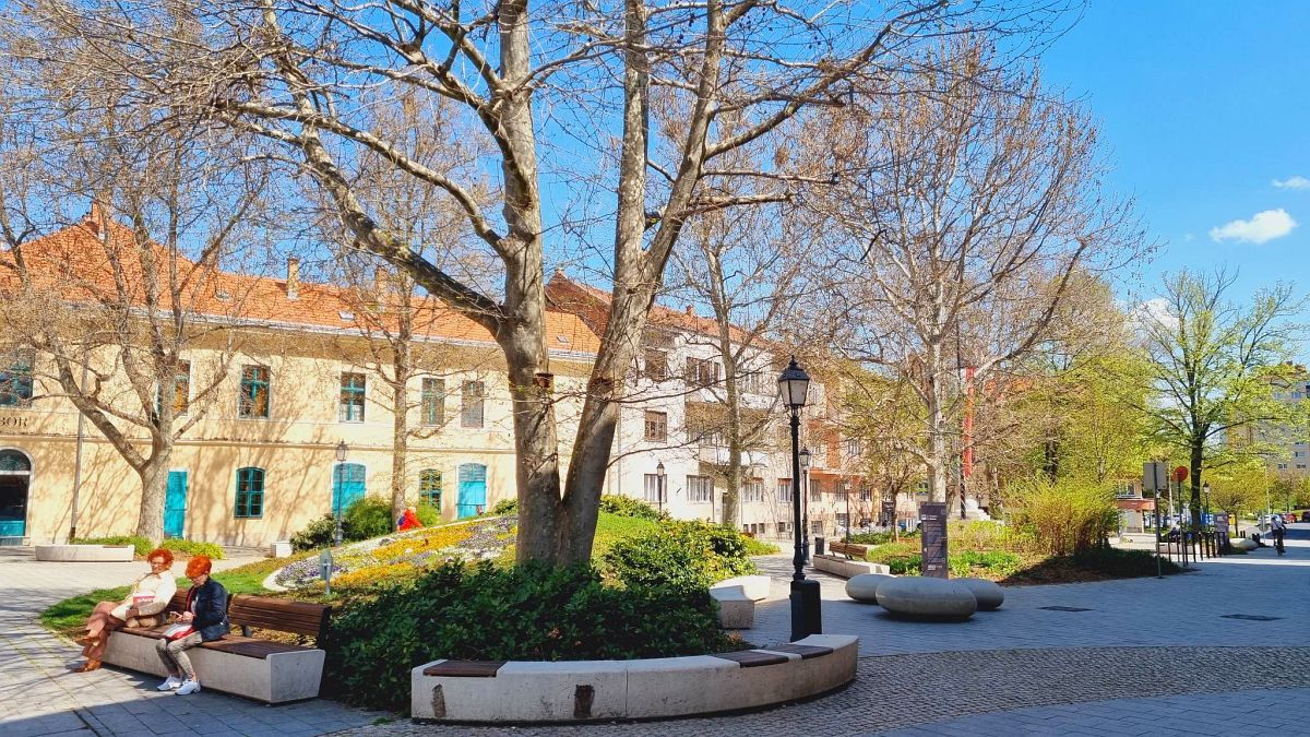 Fehérvár Médiacentrum fotója