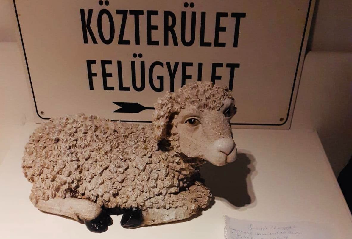 Fehérvár Médiacentrum fotója