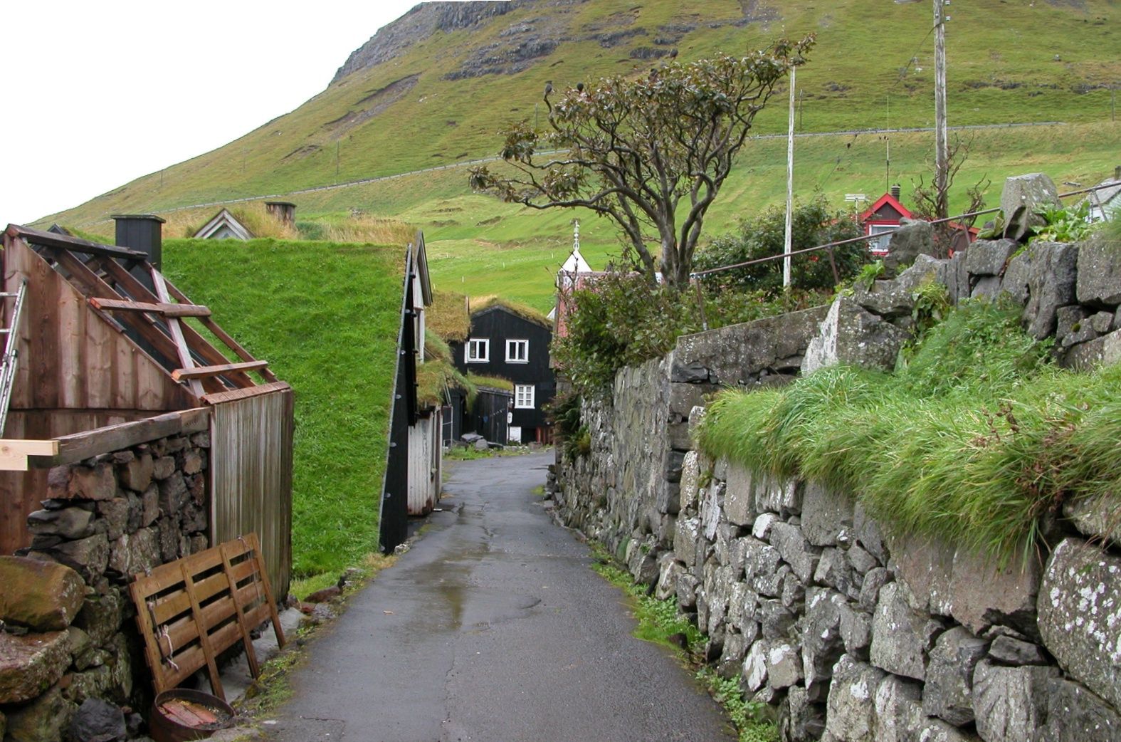 Fehérvár Médiacentrum fotója