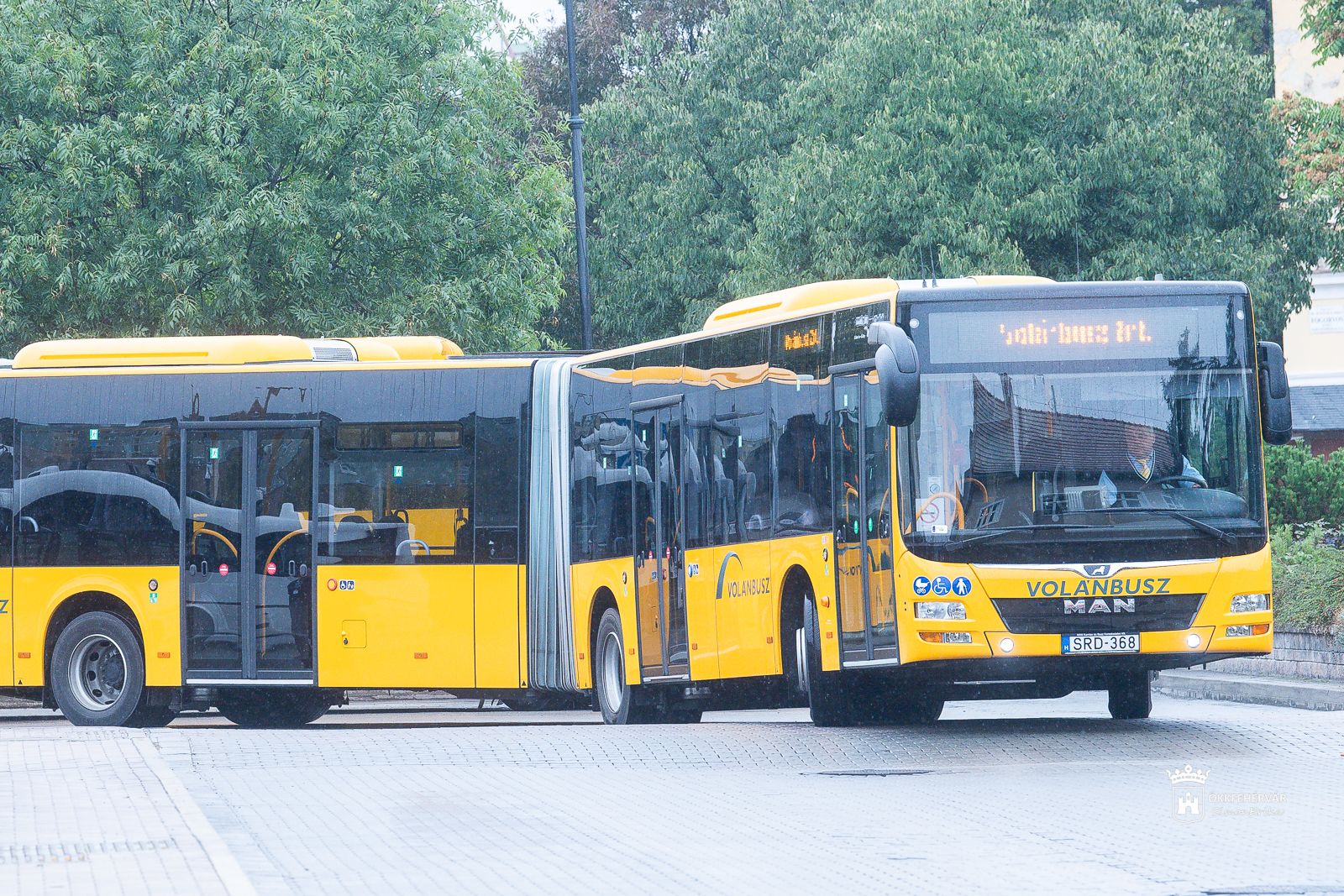 Fehérvár Médiacentrum fotója