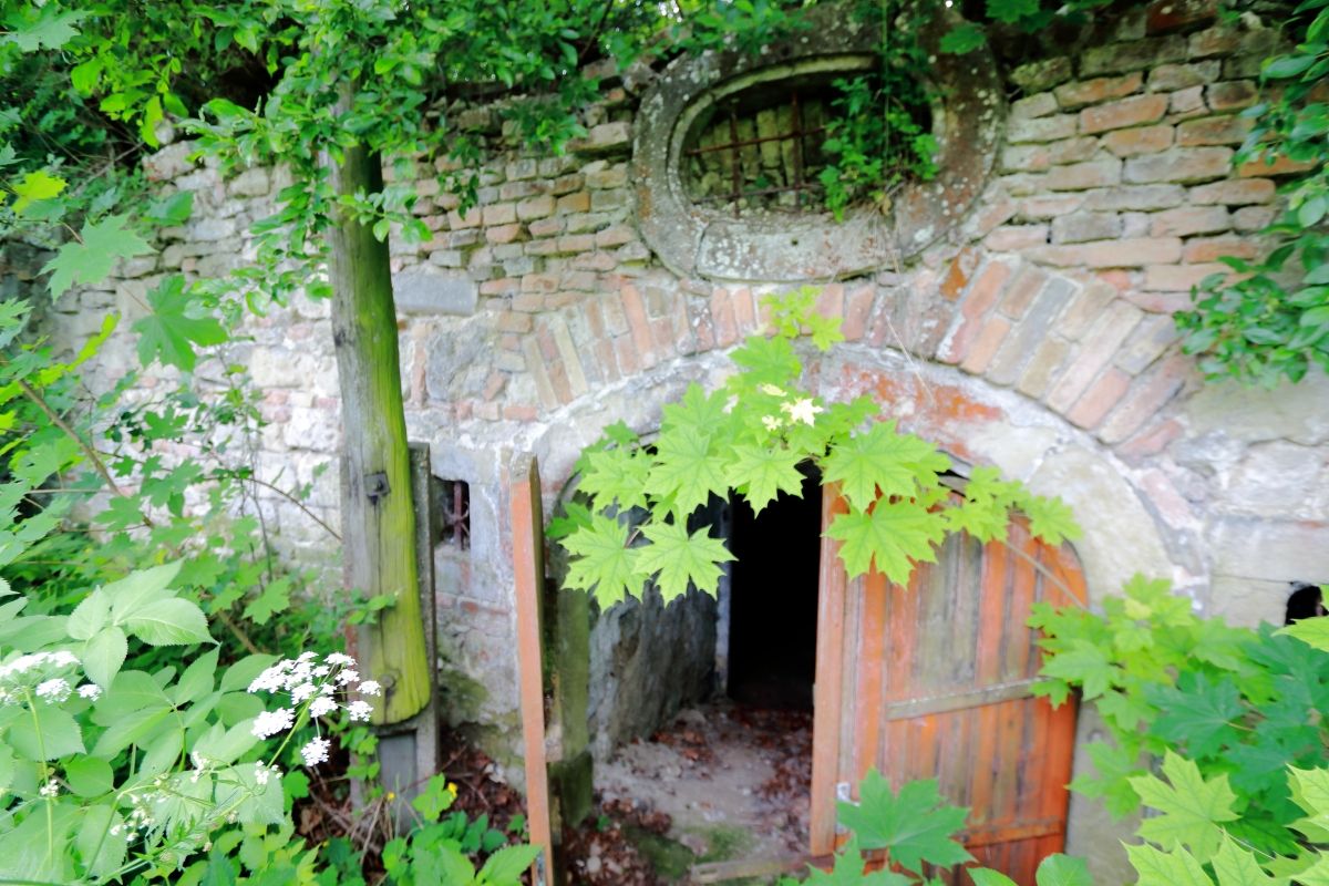 Fehérvár Médiacentrum fotója