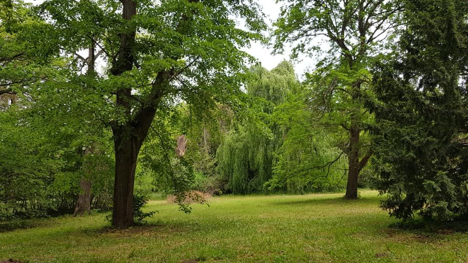 Fehérvár Médiacentrum fotója