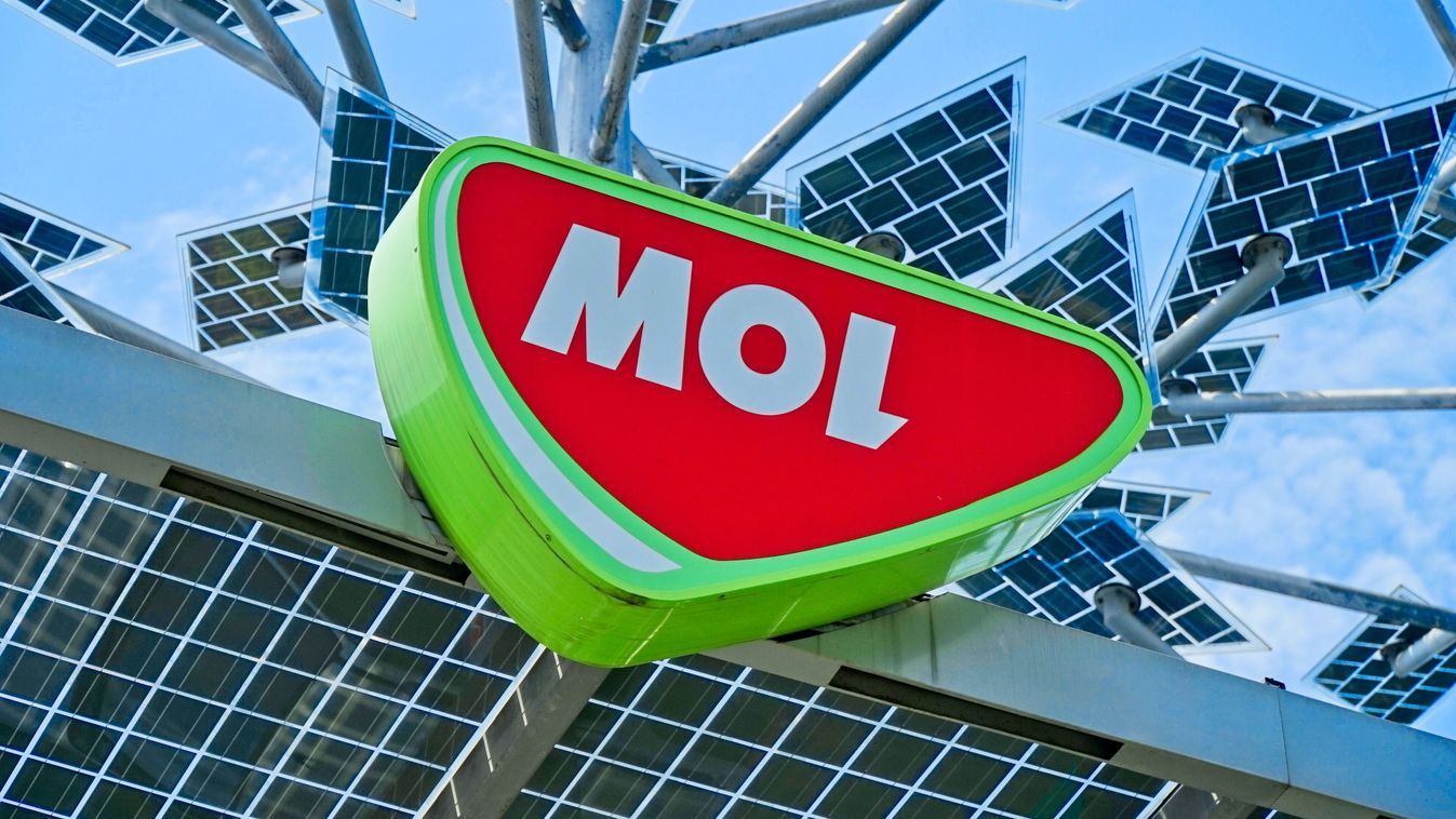 Fehérvár Médiacentrum fotója