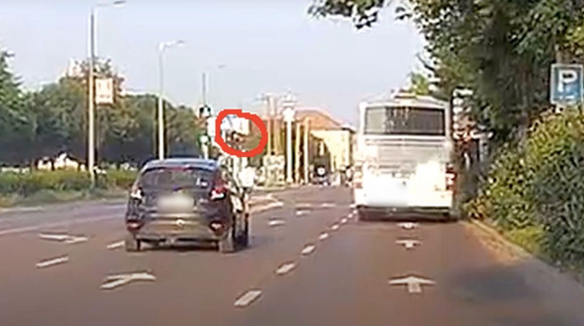 Fehérvár Médiacentrum fotója
