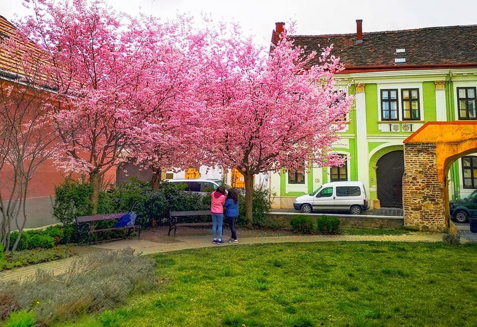 Fehérvár Médiacentrum fotója