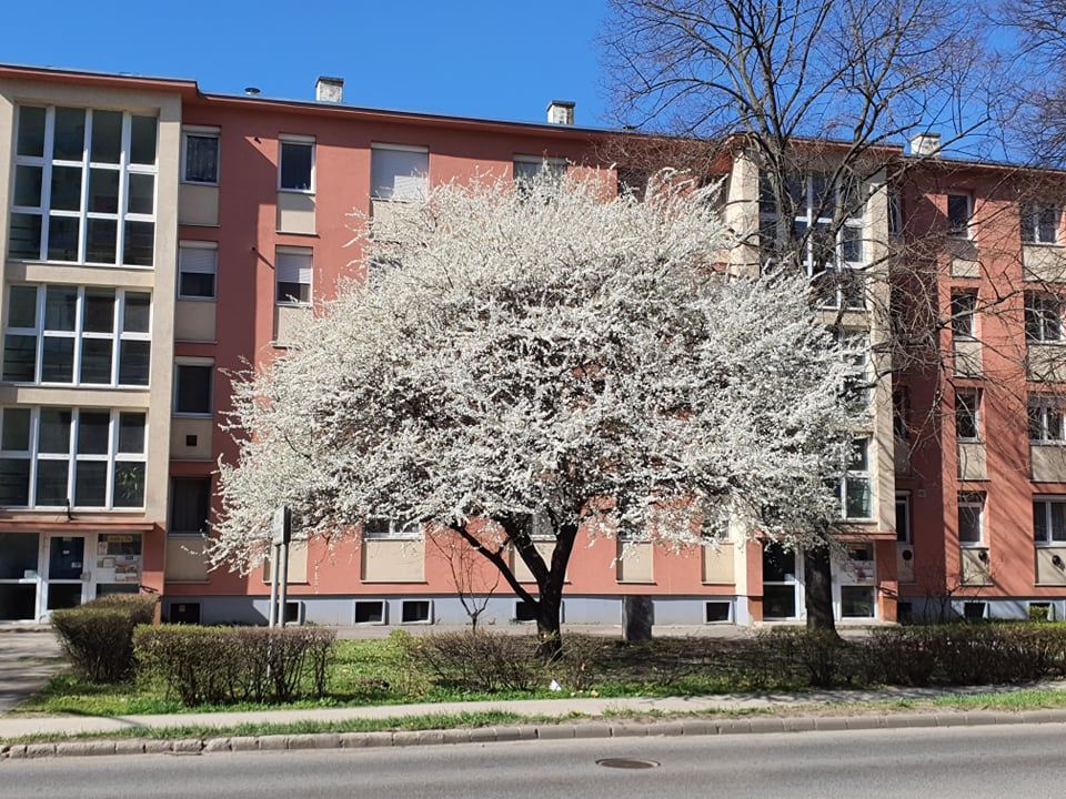 Fehérvár Médiacentrum fotója