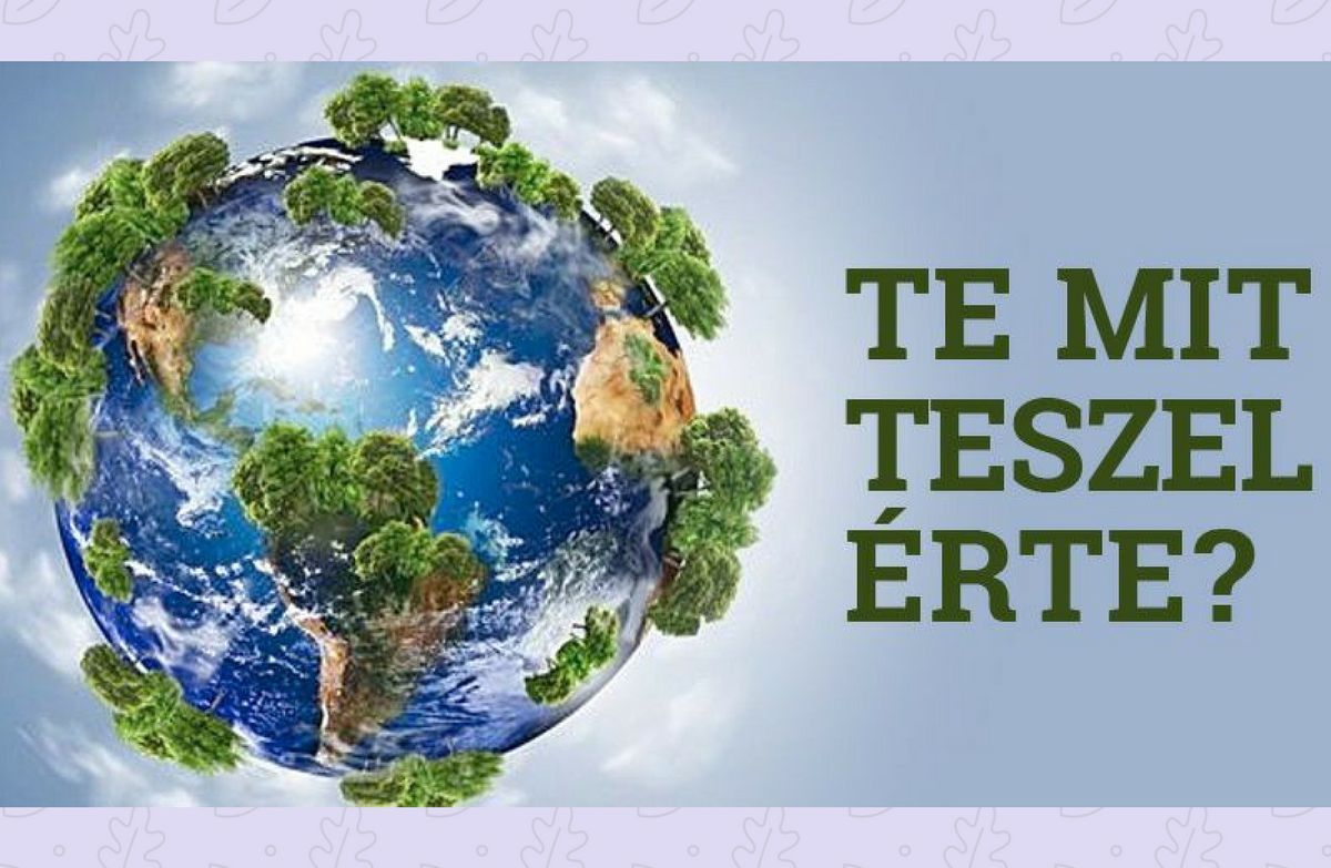 Fehérvár Médiacentrum fotója