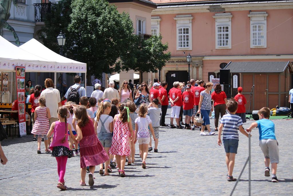 Fehérvár Médiacentrum fotója