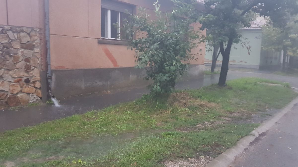 Fehérvár Médiacentrum fotója