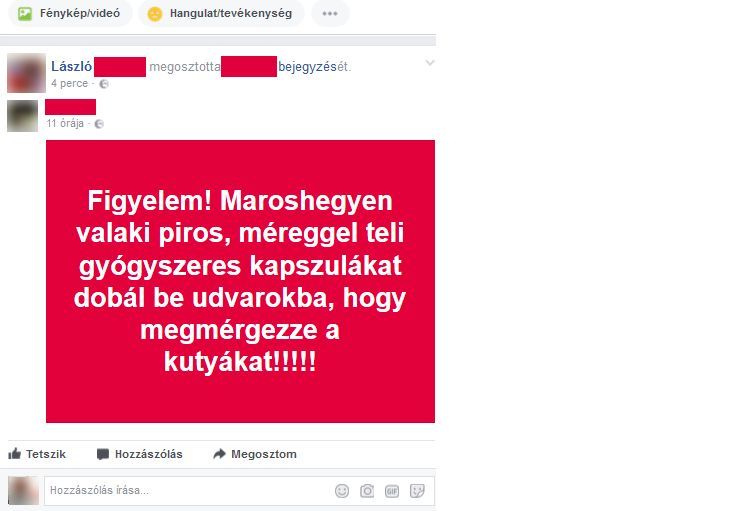 Fehérvár Médiacentrum fotója