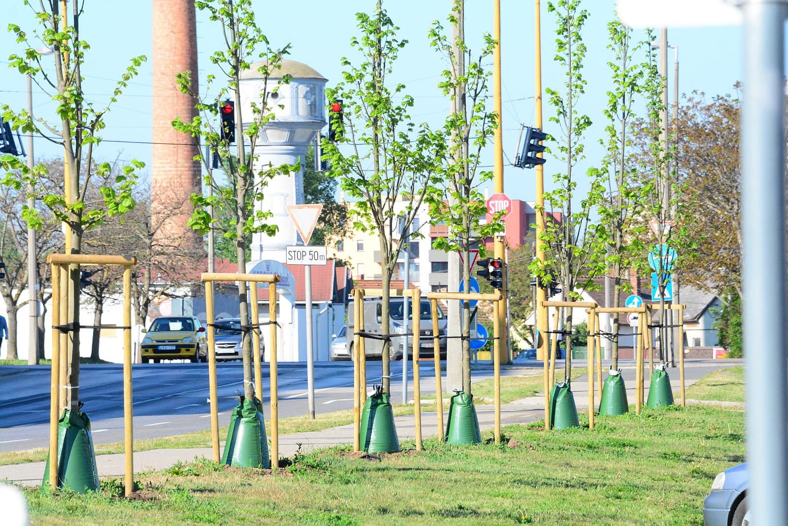 Fehérvár Médiacentrum fotója