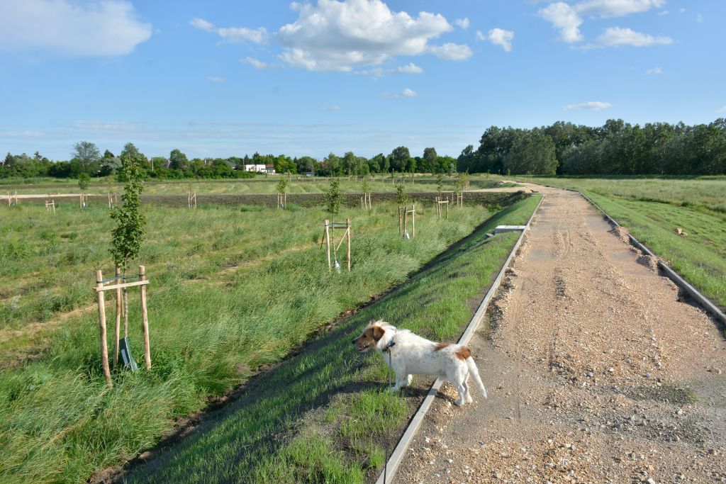 Fehérvár Médiacentrum fotója