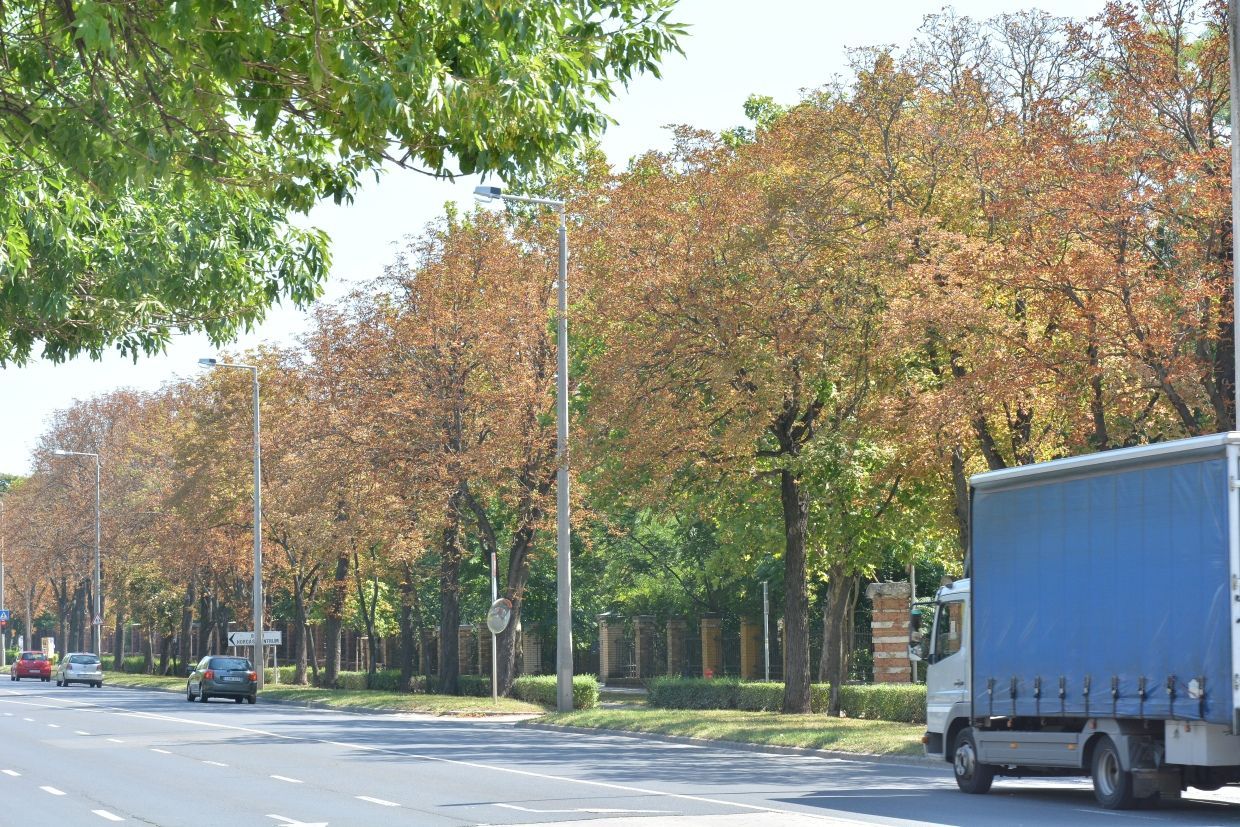 Fehérvár Médiacentrum fotója