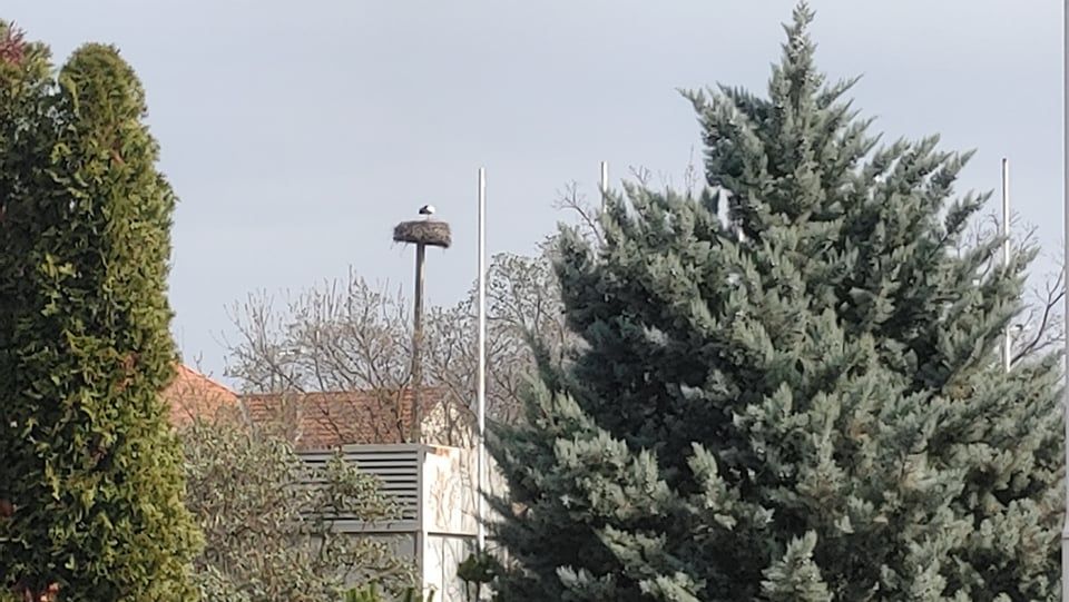 Fehérvár Médiacentrum fotója
