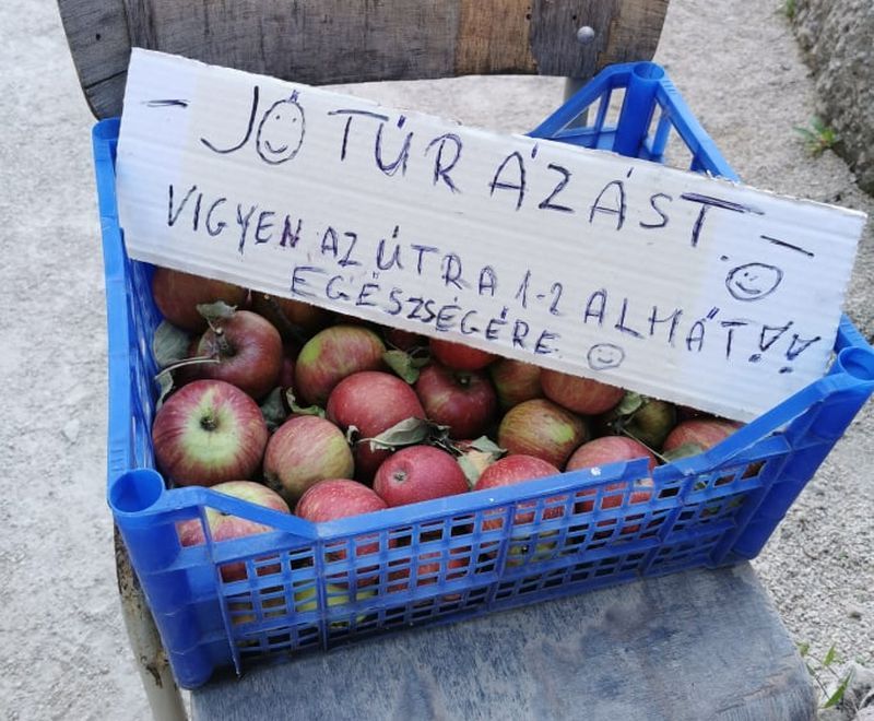Fehérvár Médiacentrum fotója