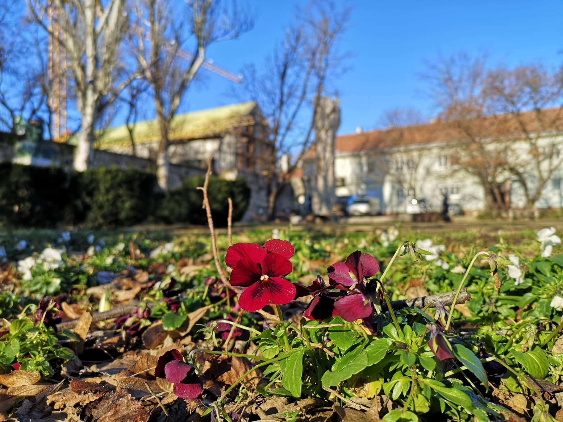 Fehérvár Médiacentrum fotója