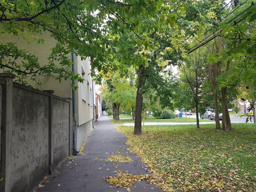 Fehérvár Médiacentrum fotója