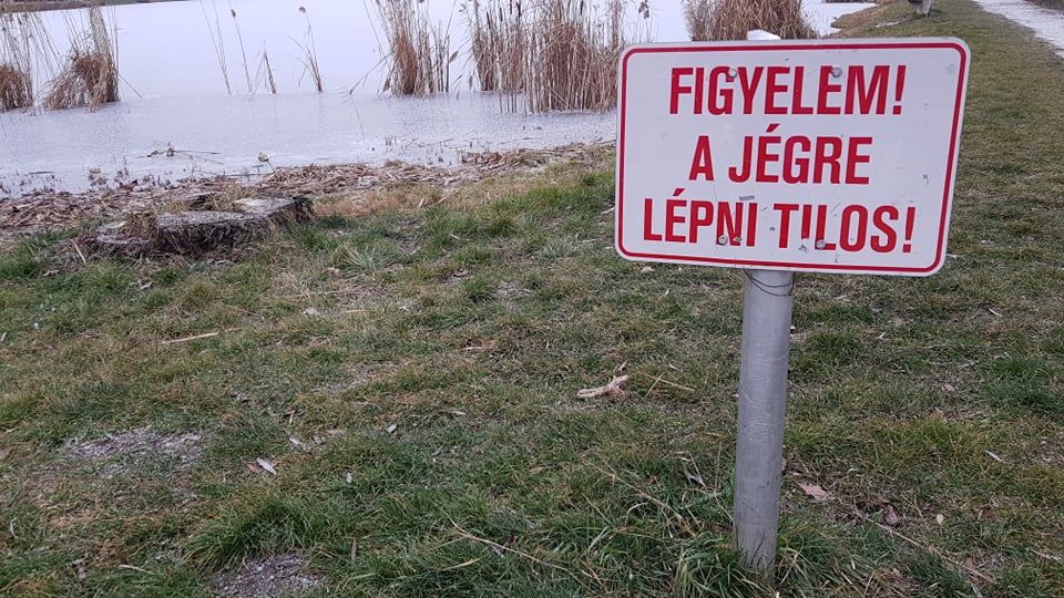 Fehérvár Médiacentrum fotója