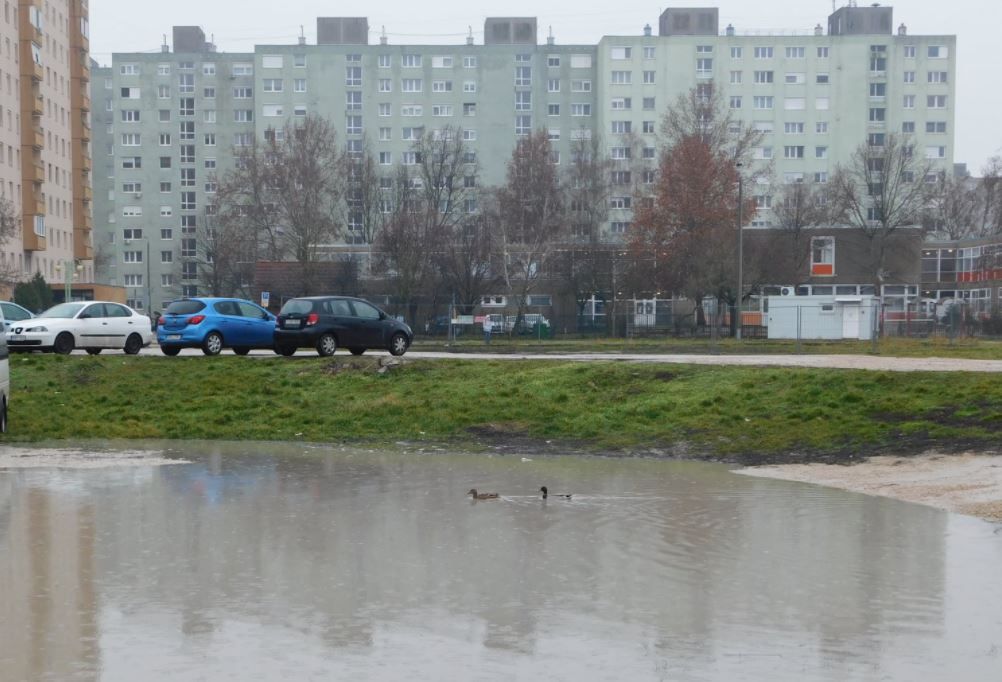 Fehérvár Médiacentrum fotója
