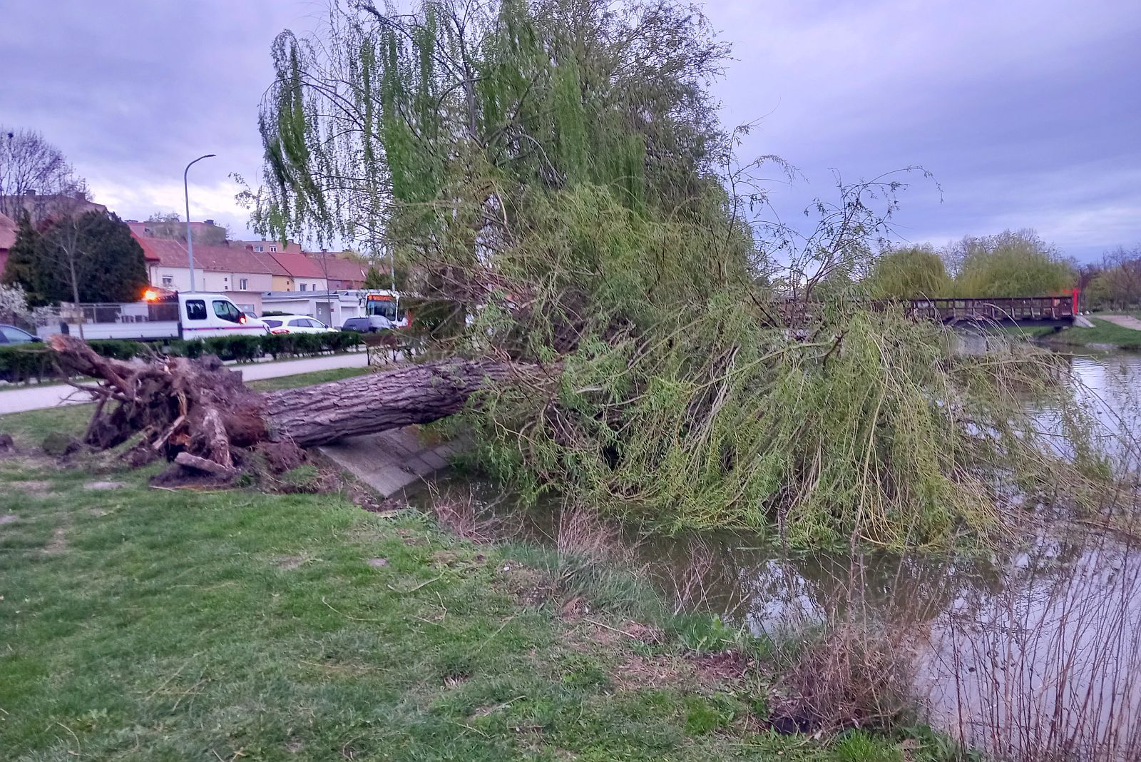 Fehérvár Médiacentrum fotója
