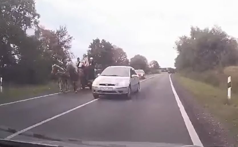 Fehérvár Médiacentrum fotója