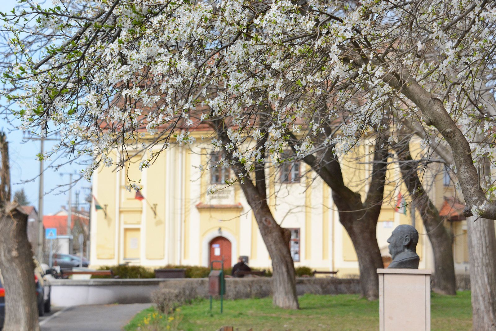 Fehérvár Médiacentrum fotója