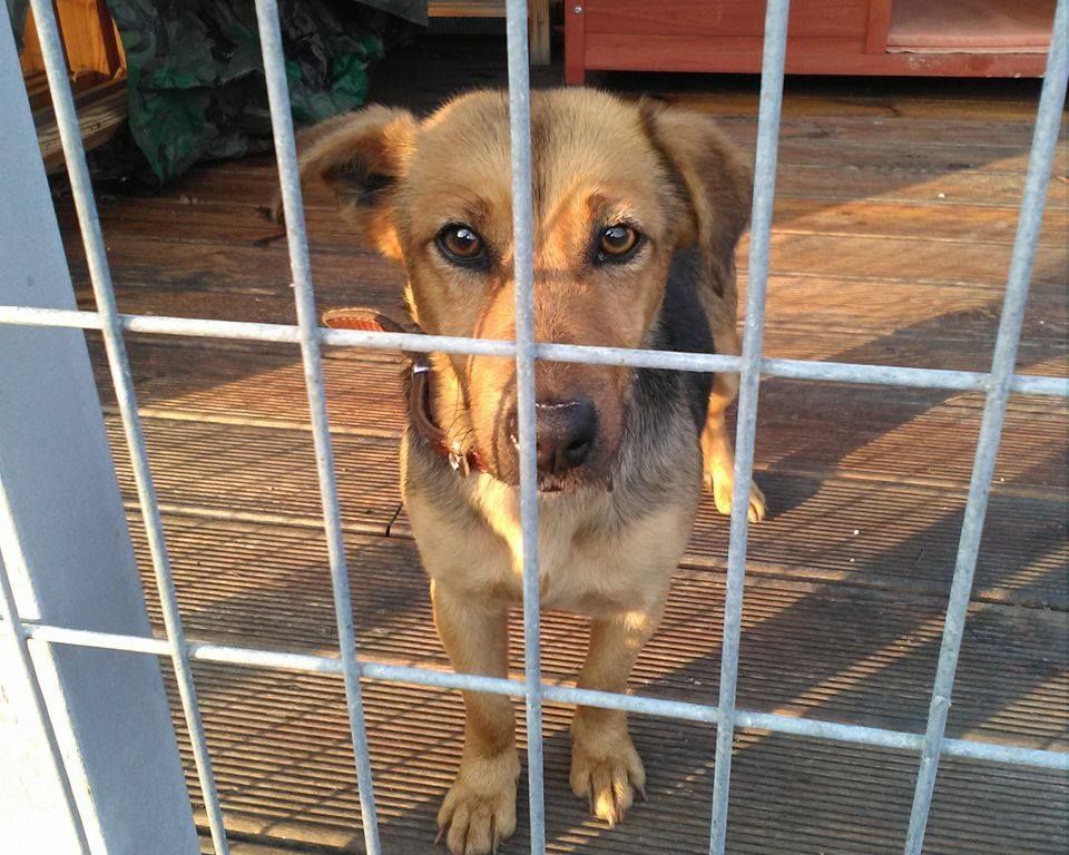 Fehérvár Médiacentrum fotója
