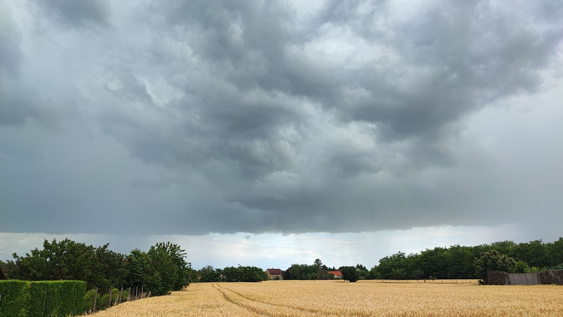 Fehérvár Médiacentrum fotója