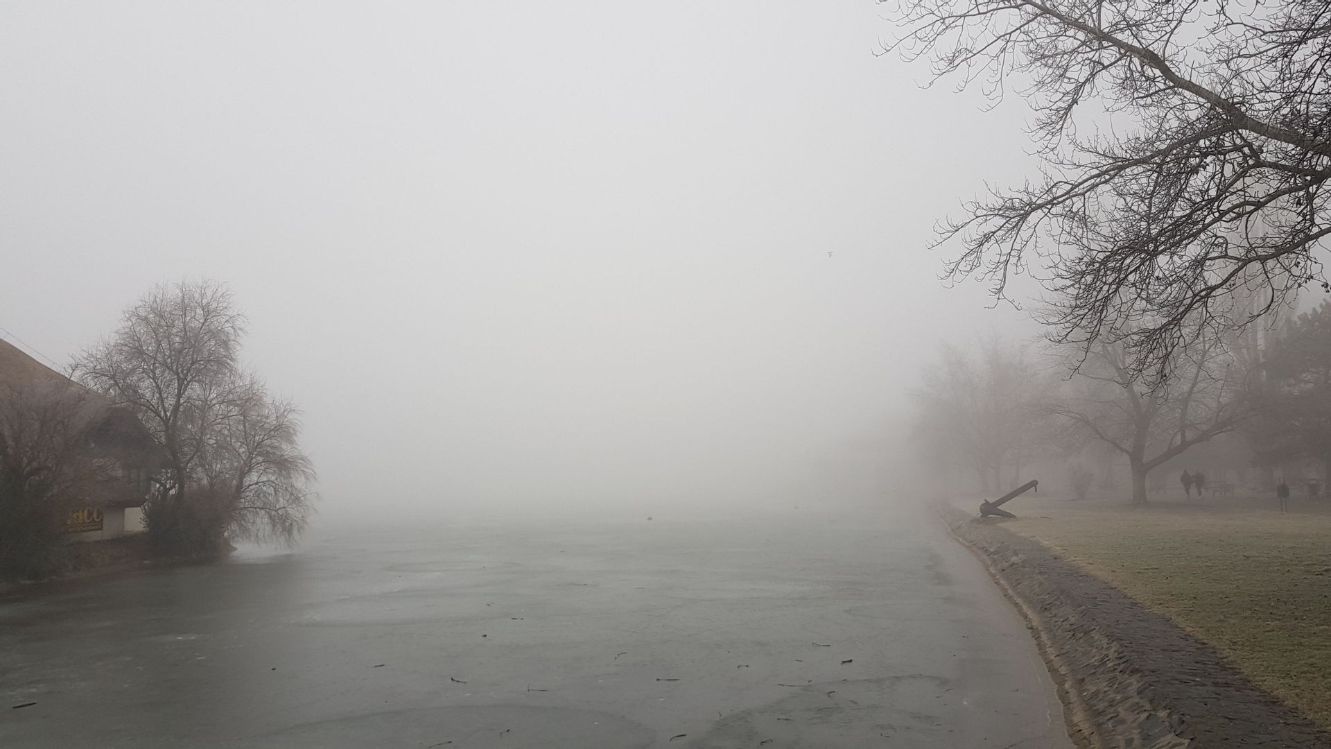 Fehérvár Médiacentrum fotója