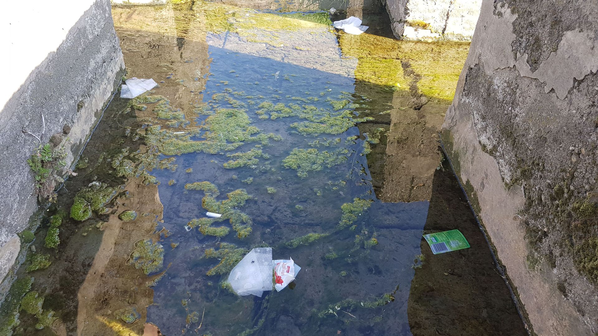 Fehérvár Médiacentrum fotója