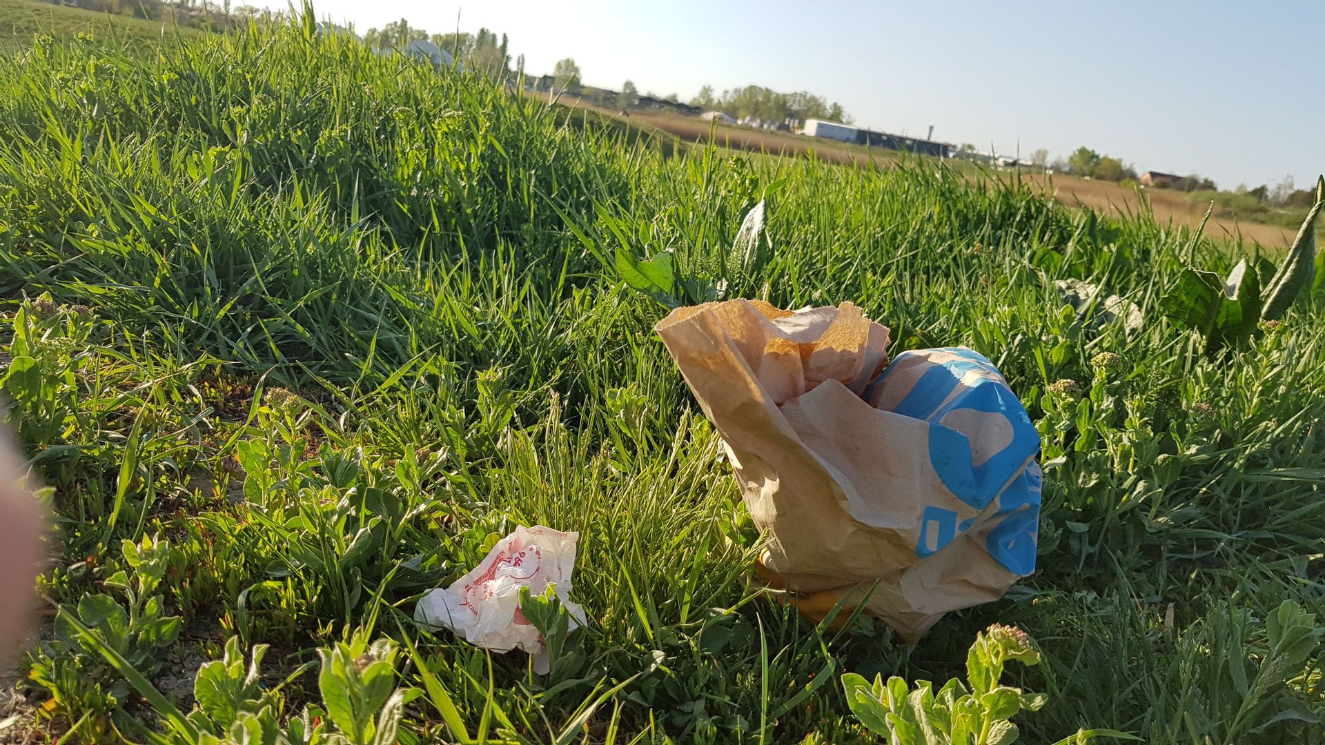 Fehérvár Médiacentrum fotója
