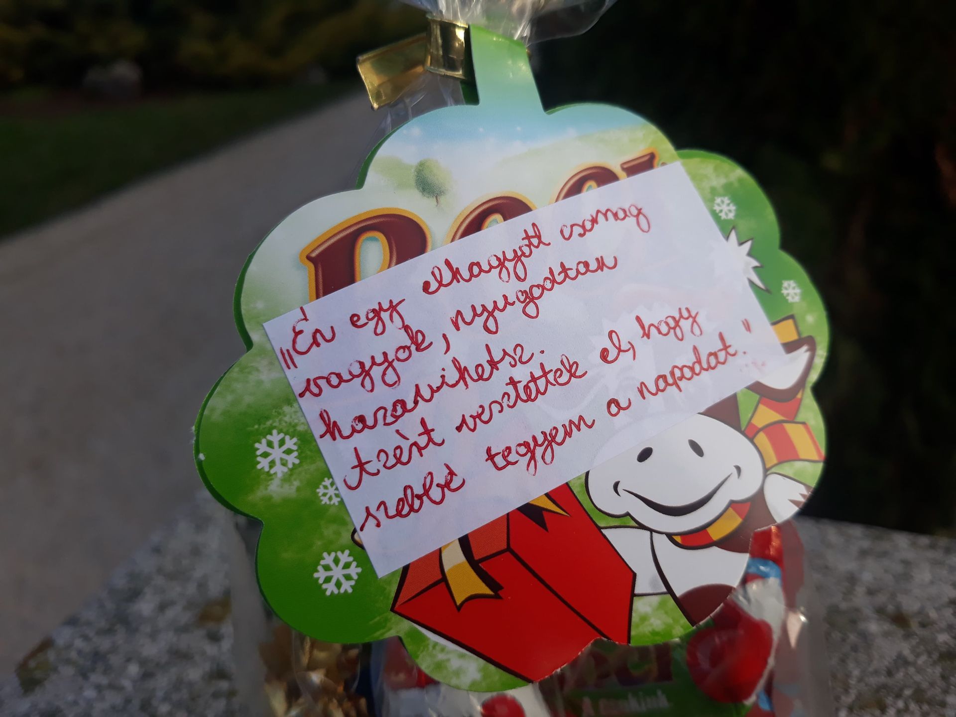 Fehérvár Médiacentrum fotója