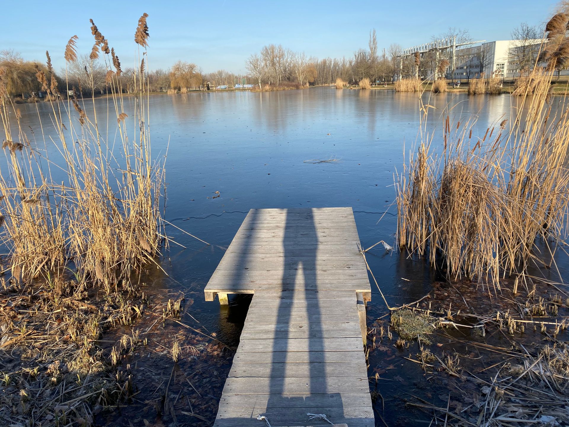 Fehérvár Médiacentrum fotója