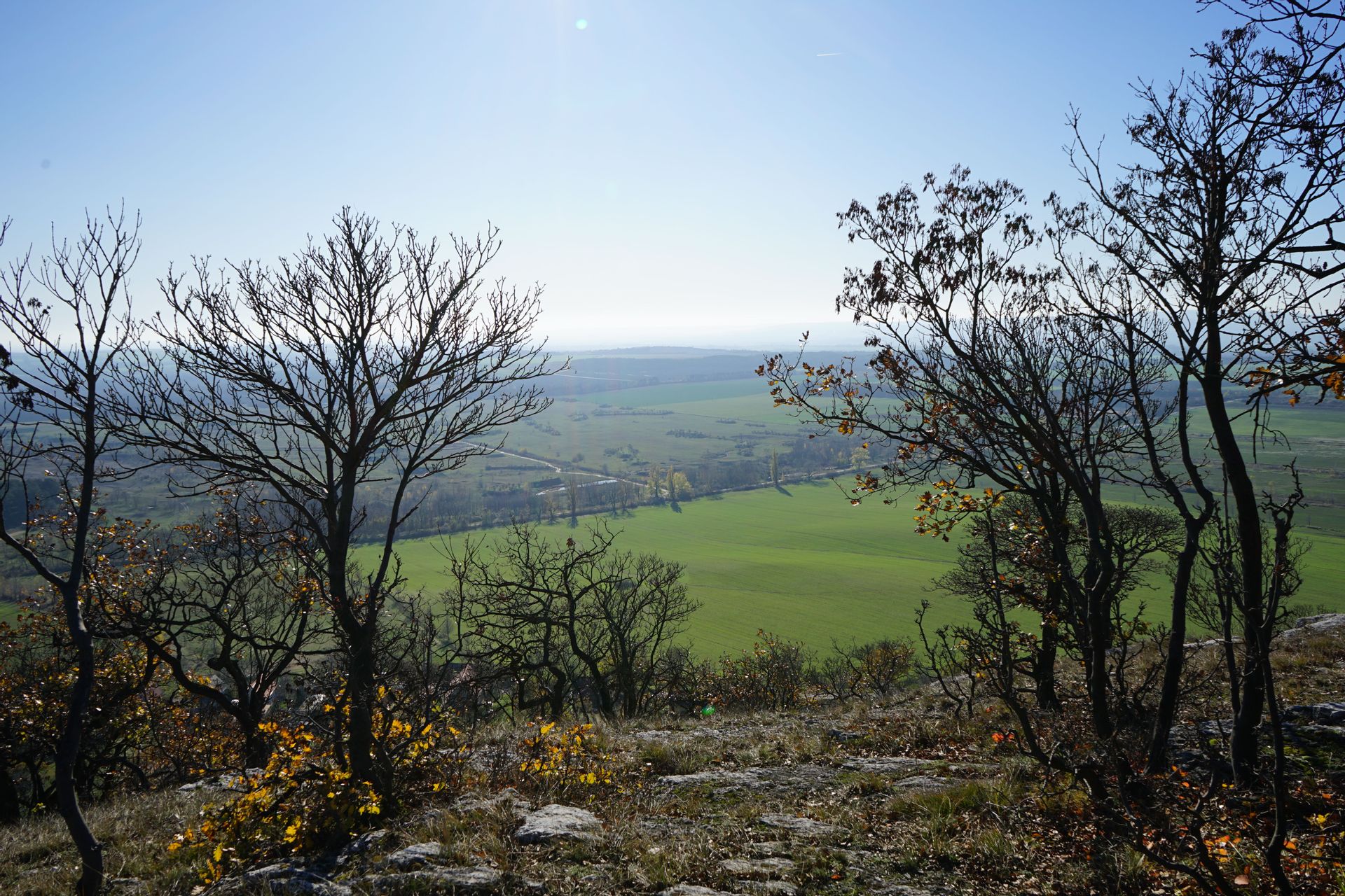 Fehérvár Médiacentrum fotója