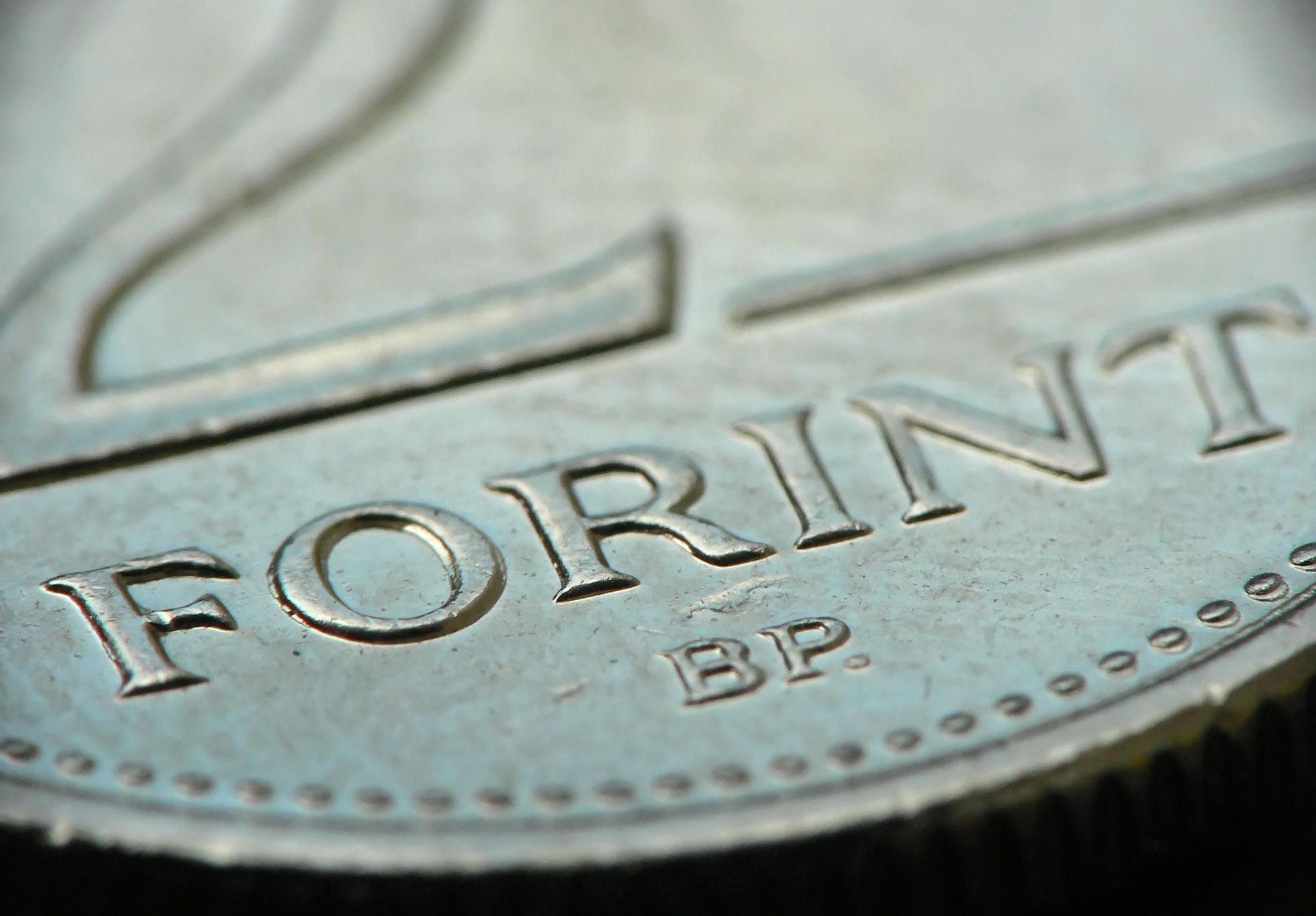 Fehérvár Médiacentrum fotója