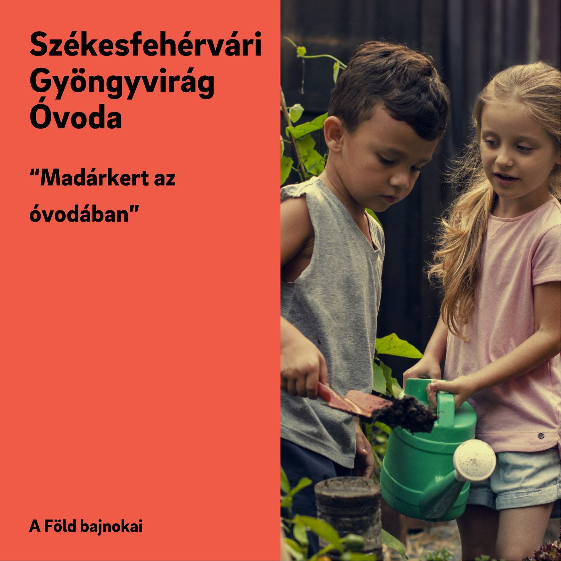 Fehérvár Médiacentrum fotója