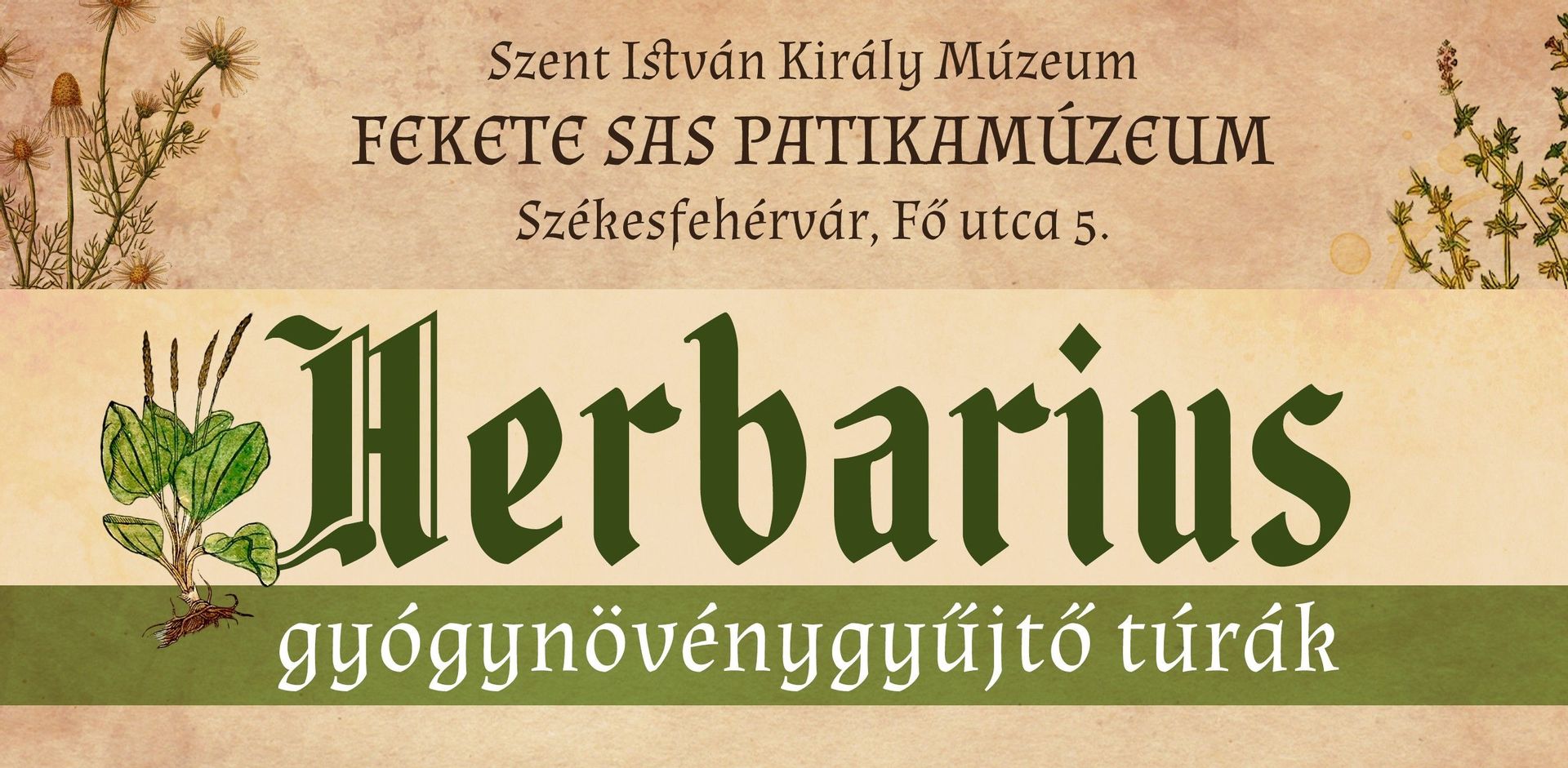 Fehérvár Médiacentrum fotója
