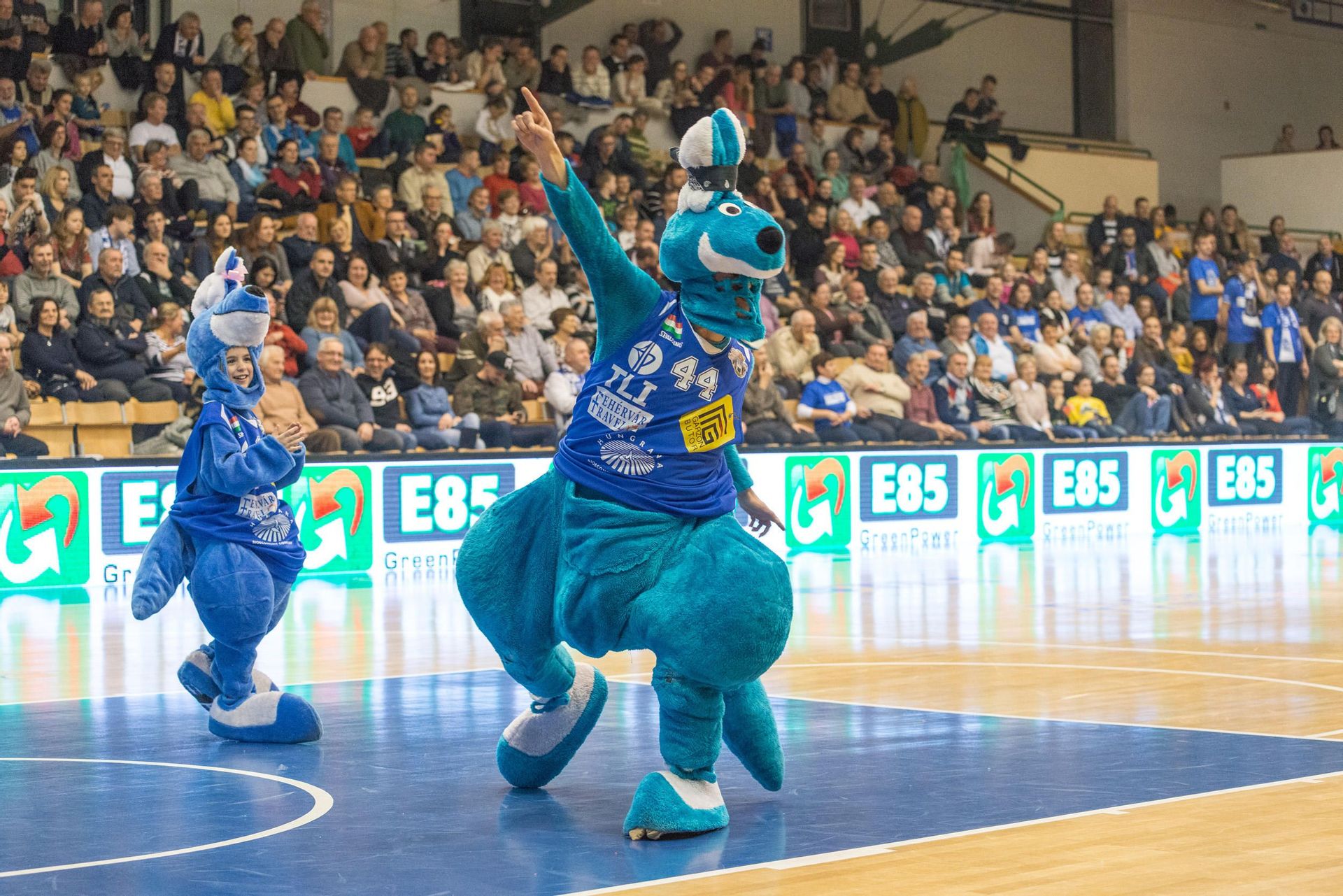 Fehérvár Médiacentrum fotója