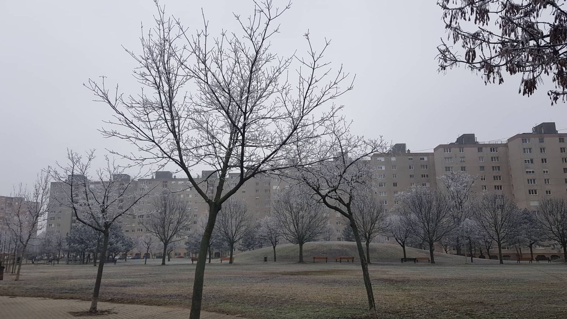 Fehérvár Médiacentrum fotója