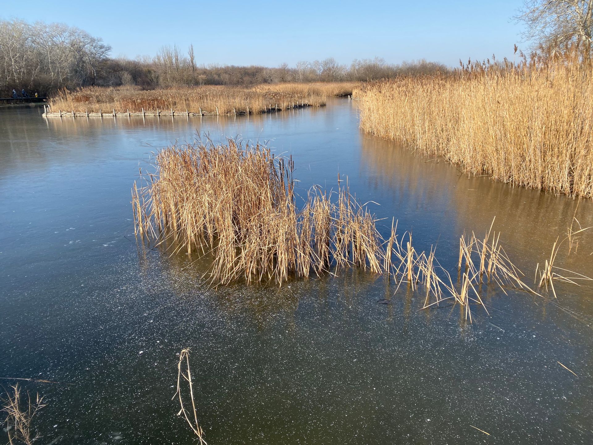Fehérvár Médiacentrum fotója