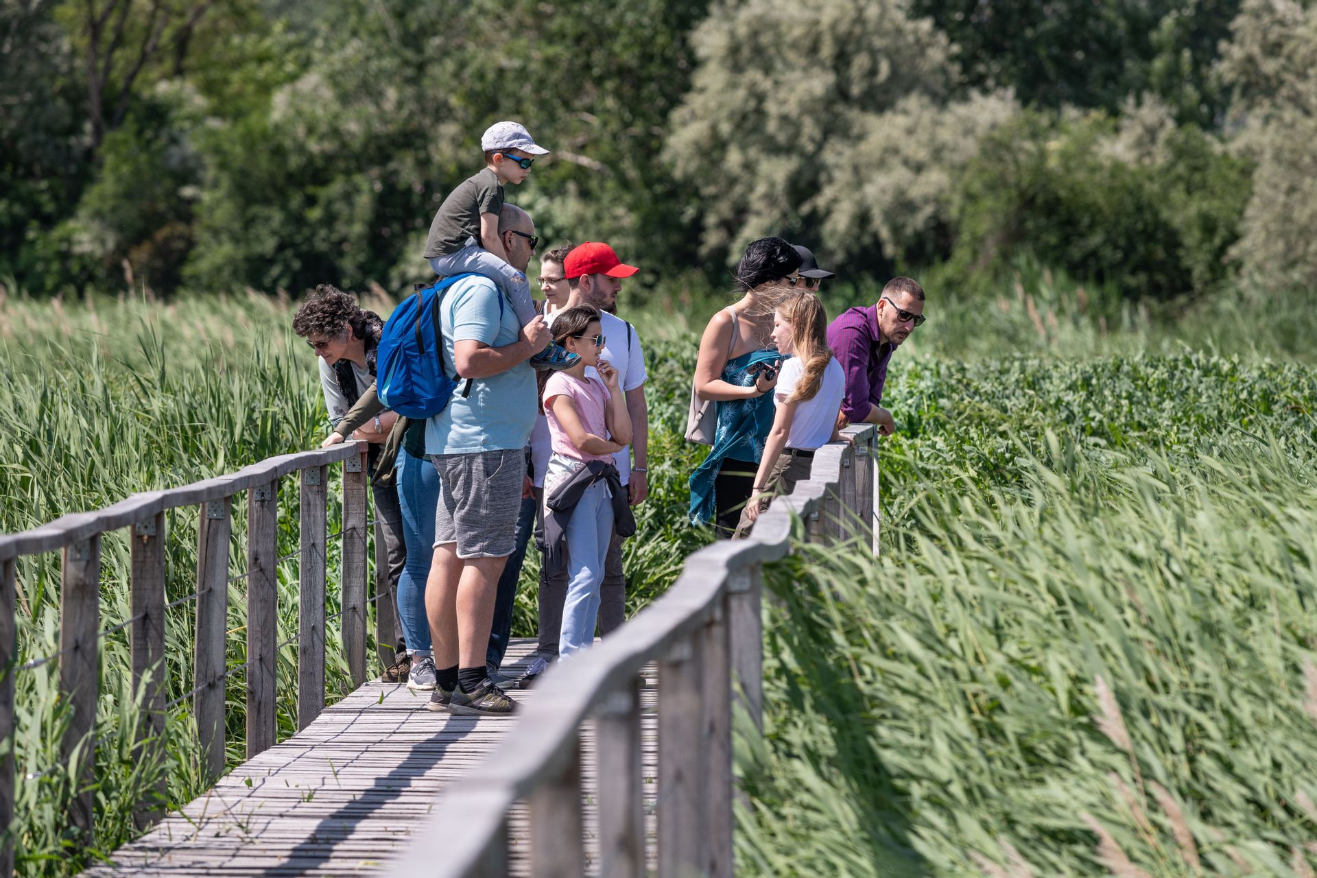 Fehérvár Médiacentrum fotója