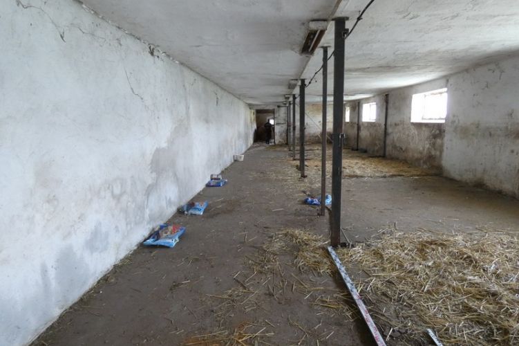 Fehérvár Médiacentrum fotója