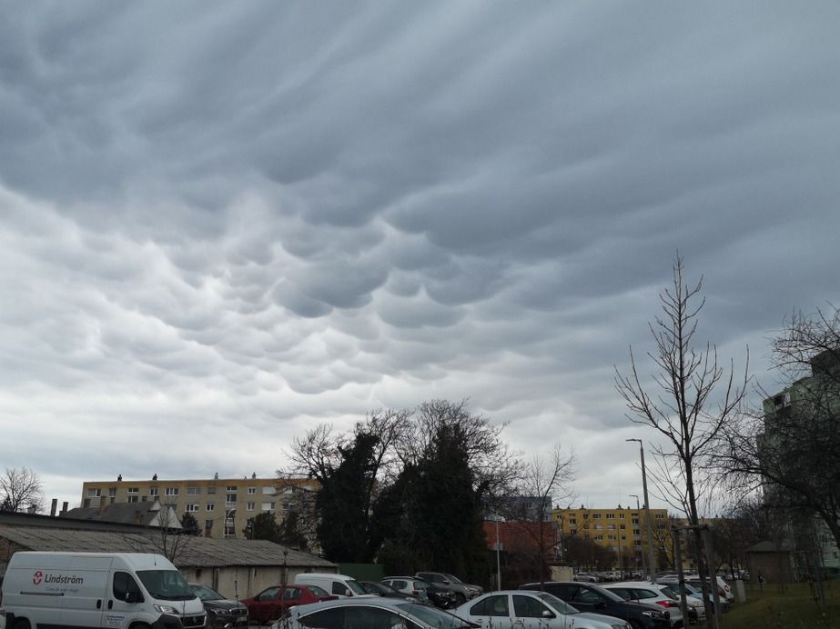 Fehérvár Médiacentrum fotója