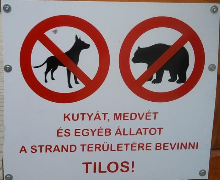 Fehérvár Médiacentrum fotója