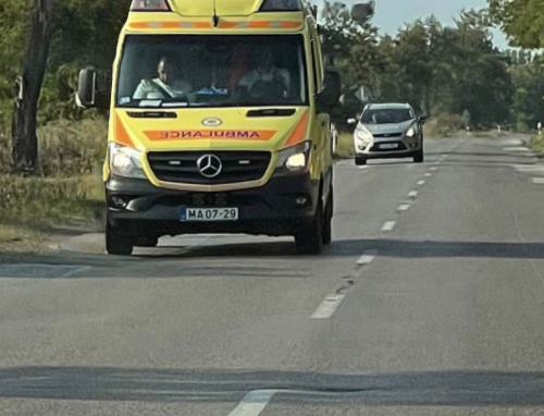 Fehérvár Médiacentrum fotója