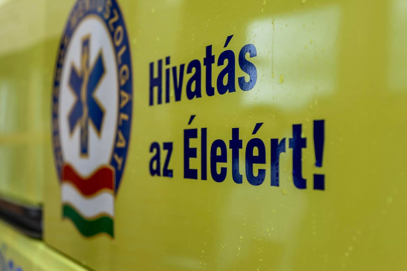 Fehérvár Médiacentrum fotója