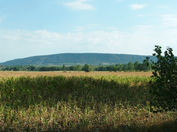 Fehérvár Médiacentrum fotója