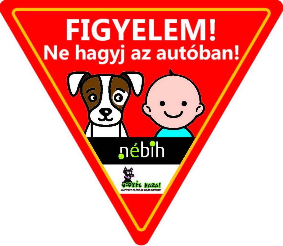 Fehérvár Médiacentrum fotója
